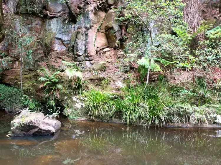 Fifth view of Homely rural property listing, 1157 Stony Chute Road (Share 21 Avalon), Nimbin NSW 2480