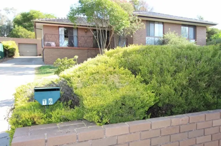 Main view of Homely house listing, 16 Cricket Street, Mansfield VIC 3722