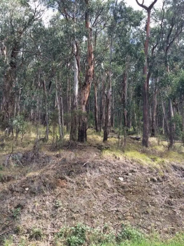 750 Don Road, Healesville VIC 3777
