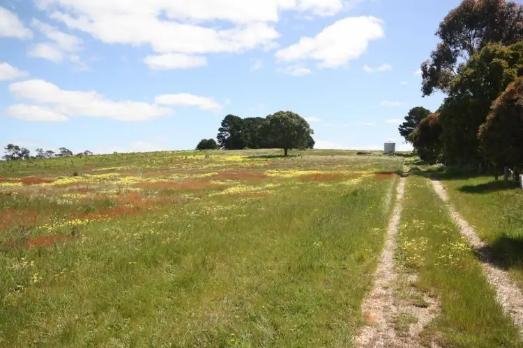 Sixth view of Homely land listing, CA 41A & 41B Raglan Elmhurst Road, Raglan VIC 3373