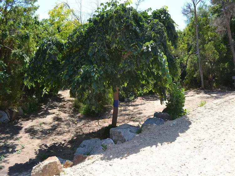 Sixth view of Homely land listing, 88 Observation Drive, Rye VIC 3941