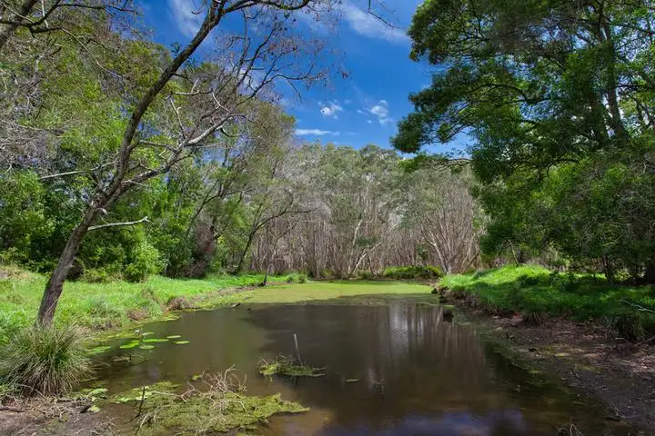 Third view of Homely house listing, 53 Kingsvale Road, Myocum NSW 2481