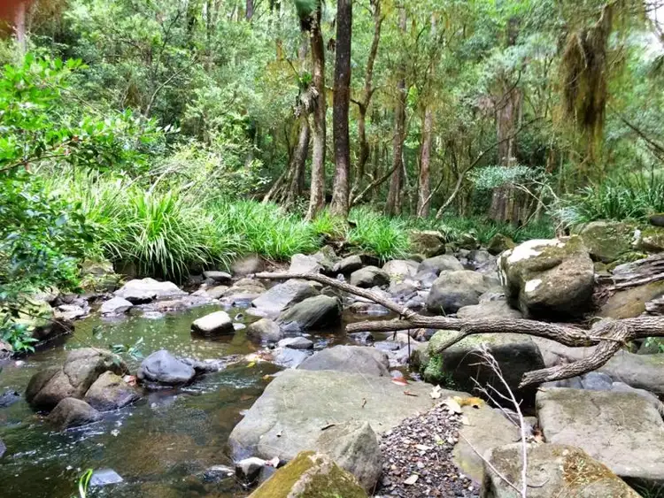 Seventh view of Homely rural property listing, 1157 Stony Chute Road (Share 21 Avalon), Nimbin NSW 2480