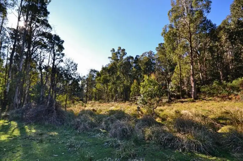Main view of Homely land listing, LOT 9 & 10 Cambatong Road, Tolmie VIC 3723