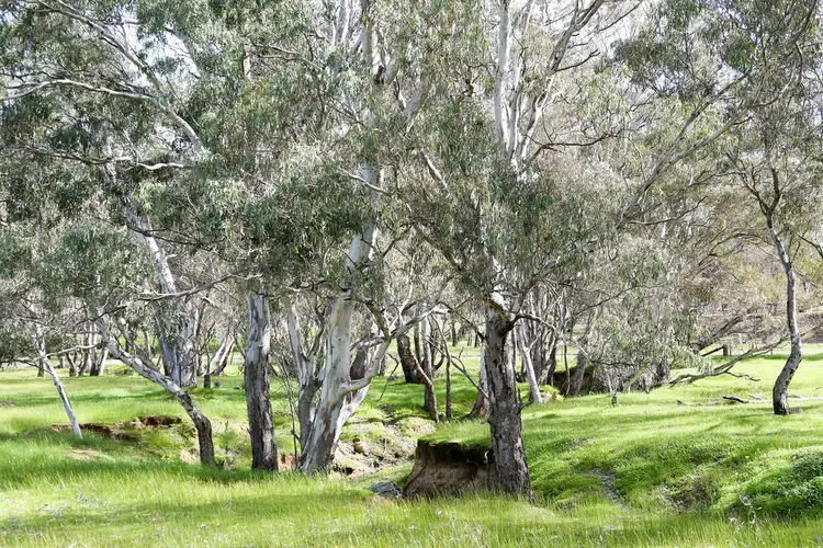 Main view of Homely land listing, LOT 1, 1 Bowles Road, Strathfieldsaye VIC 3551