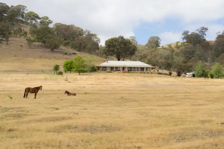 Fourth view of Homely rural property listing, 354 Three Chain Road, Mansfield VIC 3722