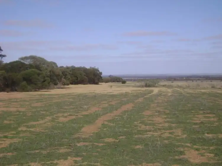 Second view of Homely land listing, LOT 15396 Caridi Road, Nungarin WA 6490