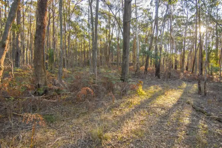 375 Daylesford - Trentham Road, Musk VIC 3461