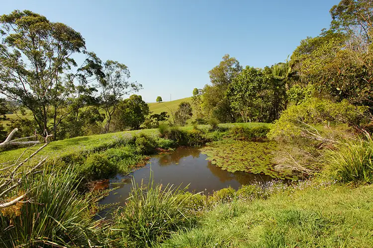 Sixth view of Homely house listing, 79 Thrushs Road, Dulong QLD 4560