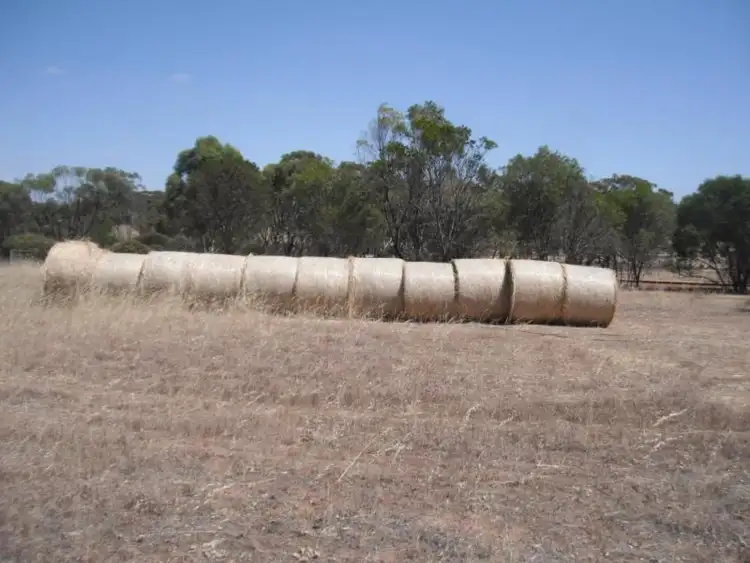 Sixth view of Homely rural property listing, LOT 556 York Quairading Highway, York WA 6302