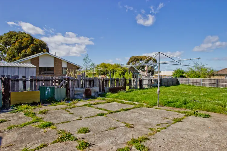 Third view of Homely house listing, 19 Cupania Street, Rocherlea TAS 7248