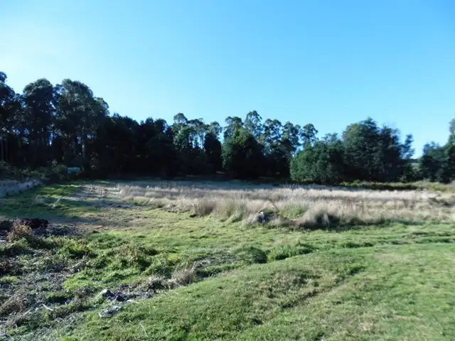 Seventh view of Homely rural property listing, * Nabowla Road, Nabowla, Scottsdale TAS 7260