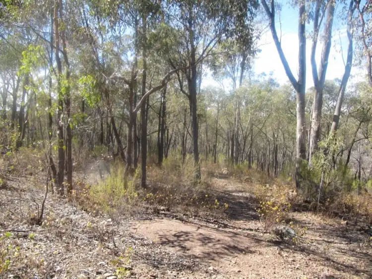 Fourth view of Homely land listing, 172 Native Gully Crescent, Eppalock VIC 3551