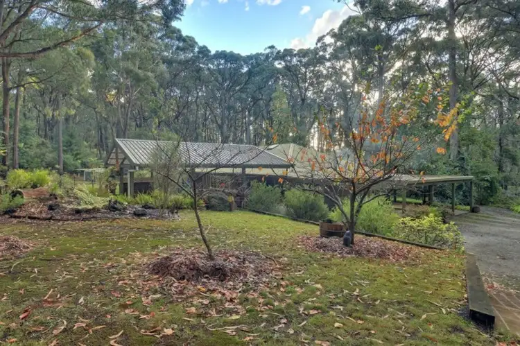 Main view of Homely house listing, 255 Gembrook Road, Gembrook VIC 3783