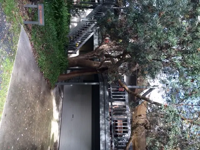 Main view of Homely house listing, 102 Silverleaves Avenue, Silverleaves VIC 3922