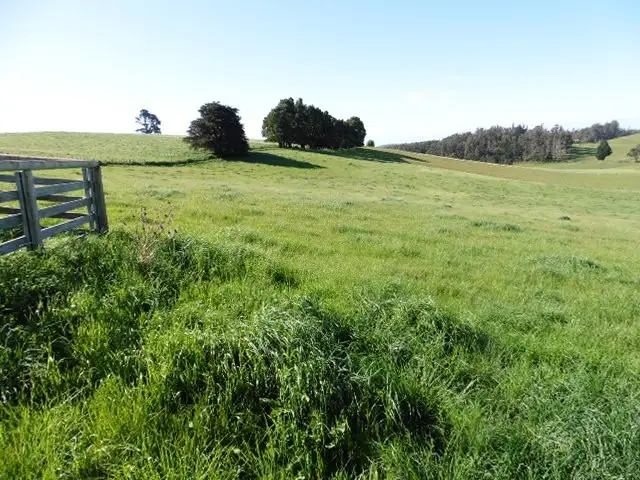 Sixth view of Homely rural property listing, ** Sledge Track, Scottsdale TAS 7260