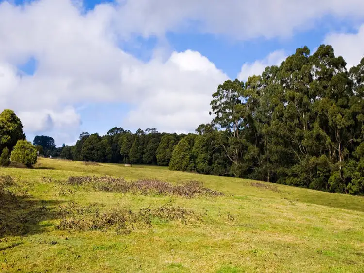 Third view of Homely land listing, 3750 Colac Lavers Hill Road, Ferguson VIC 3237