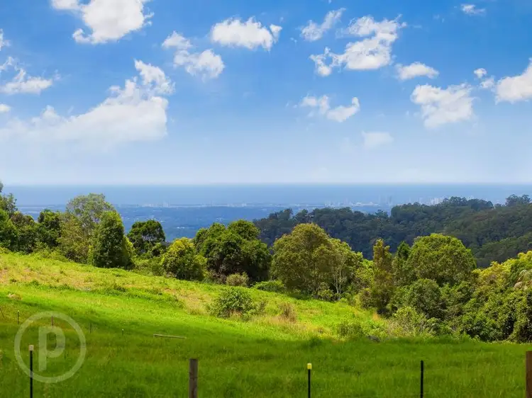 111 Licuala Drive, Tamborine Mountain QLD 4272
