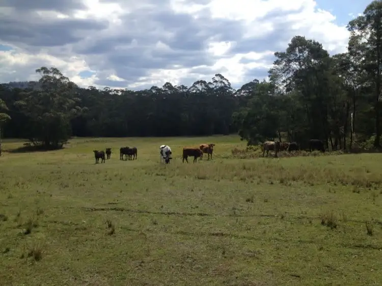 Fifth view of Homely rural property listing, LOT 52 Hancocks Creek Road, Wandandian NSW 2540