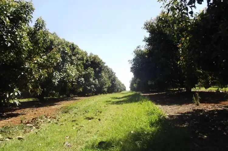 Main view of Homely rural property listing, Address available on request