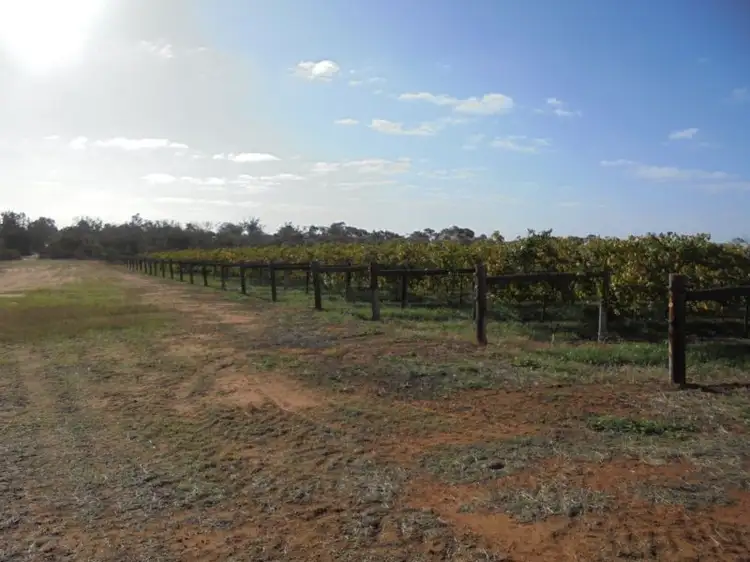 Third view of Homely rural property listing, 59B Murray Valley Highway, Robinvale VIC 3549