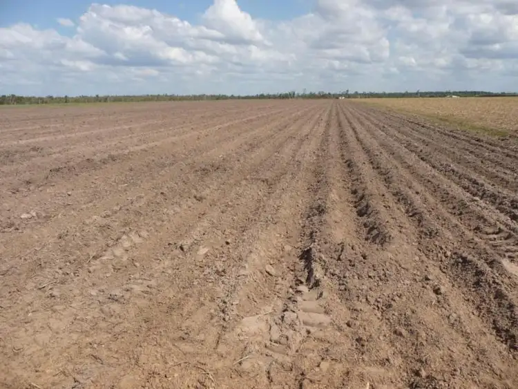 Second view of Homely rural property listing, Gastons Road, North Isis QLD 4660