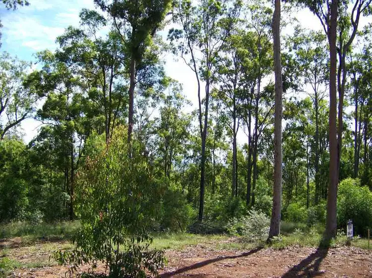 101 Prosperity Drive, Boyland QLD 4275