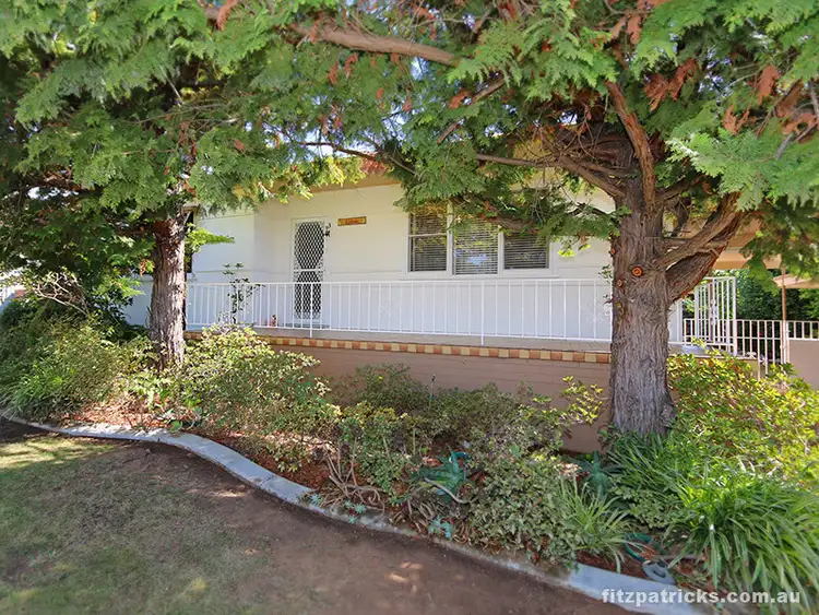 3 Wilson Street, Kooringal NSW 2650