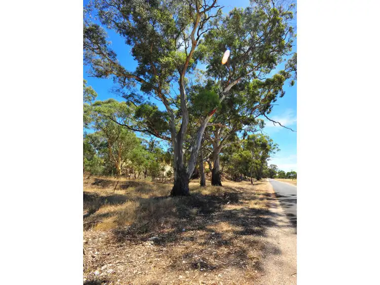 Fourth view of Homely land listing, LOT 1, 312 Bet Bet Betley Road, Betley VIC 3472