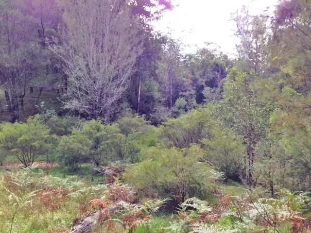 Fourth view of Homely rural property listing, 801 Kangaroo Creek Road, Coutts Crossing NSW 2460