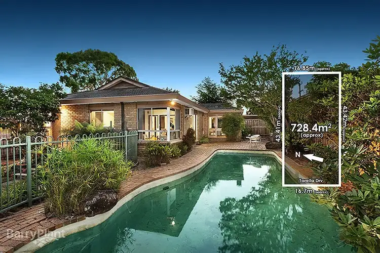 20 Tarella Drive, Mount Waverley VIC 3149