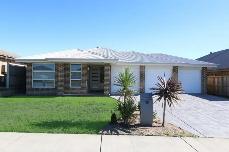 Main view of Homely house listing, 19 Dragonfly Drive, Chisholm NSW 2322