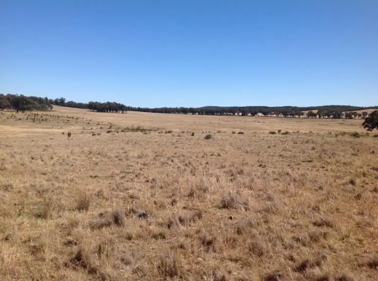Second view of Homely rural property listing, 2511 OLD COOTAMUNDRA ROAD, Temora NSW 2666