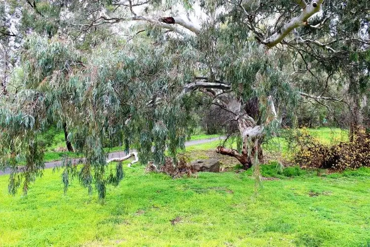 Third view of Homely house listing, 4/127 Mackenzie Street West, Golden Square VIC 3555