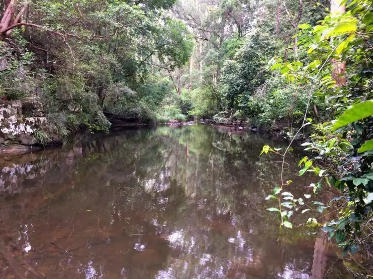 Fourth view of Homely rural property listing, LOT 21/1157 Stony Chute Road, Stony Chute NSW 2480
