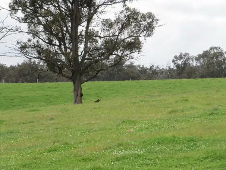 Fifth view of Homely land listing, LOT 3 Cemetery Road, Briagolong VIC 3860