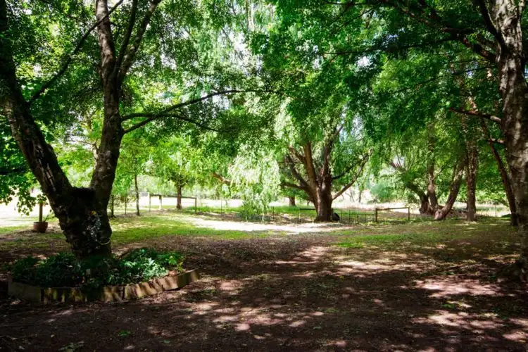 Third view of Homely house listing, 116 The Sideling, Jamieson VIC 3723