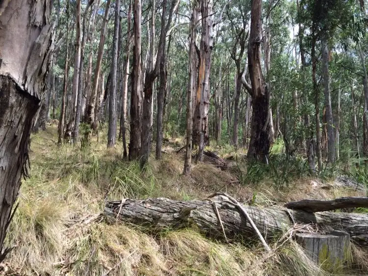 Second view of Homely land listing, 750 Don Road, Healesville VIC 3777