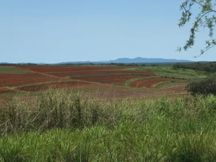Second view of Homely rural property listing, 263 LYNWOOD ROAD, North Isis QLD 4660