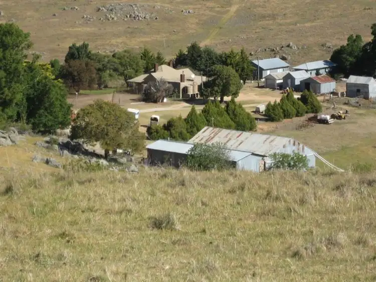 Main view of Homely rural property listing, 1641 Sapphire Road, Biala NSW 2581