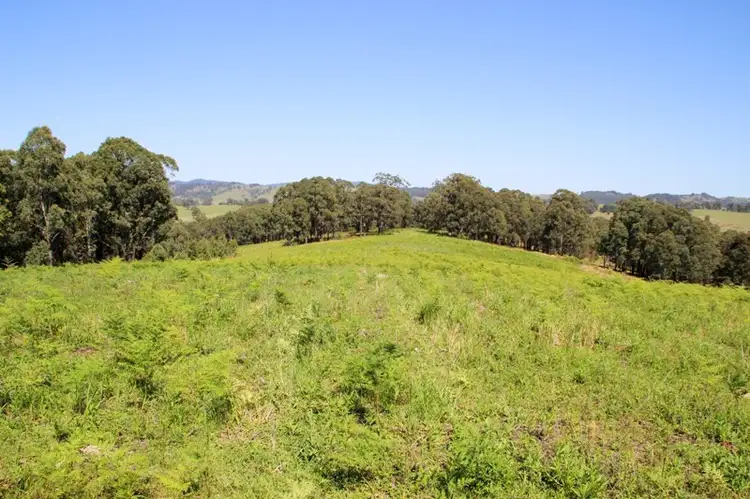Lot 105 & 107 Nelsons Road, Dungog NSW 2420