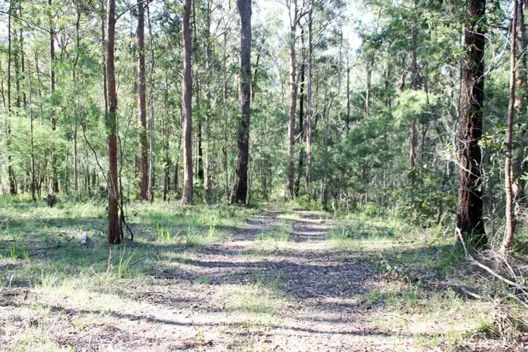 Fourth view of Homely land listing, Lot 2 Saggers Creek Road, Stroud NSW 2425
