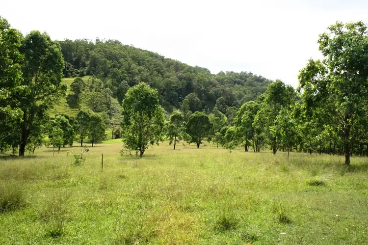 Fifth view of Homely land listing, Lot 1 Bingleburra Road, Dungog NSW 2420