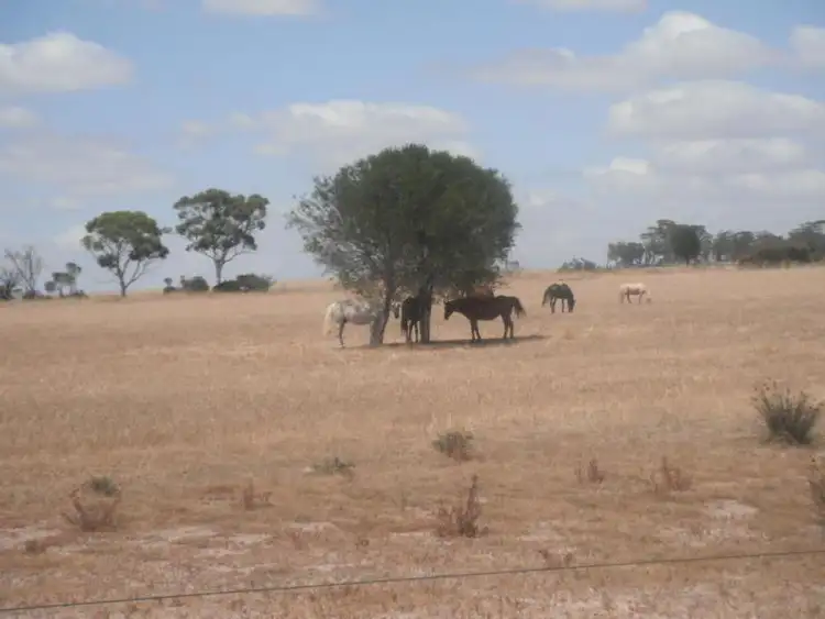 LOT 556 York Quairading Highway, York WA 6302
