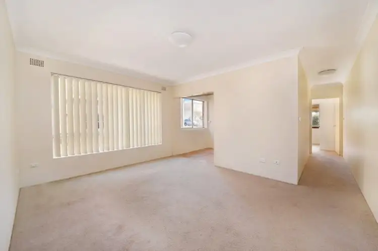3/210 Oberon Street, Coogee NSW 2034
