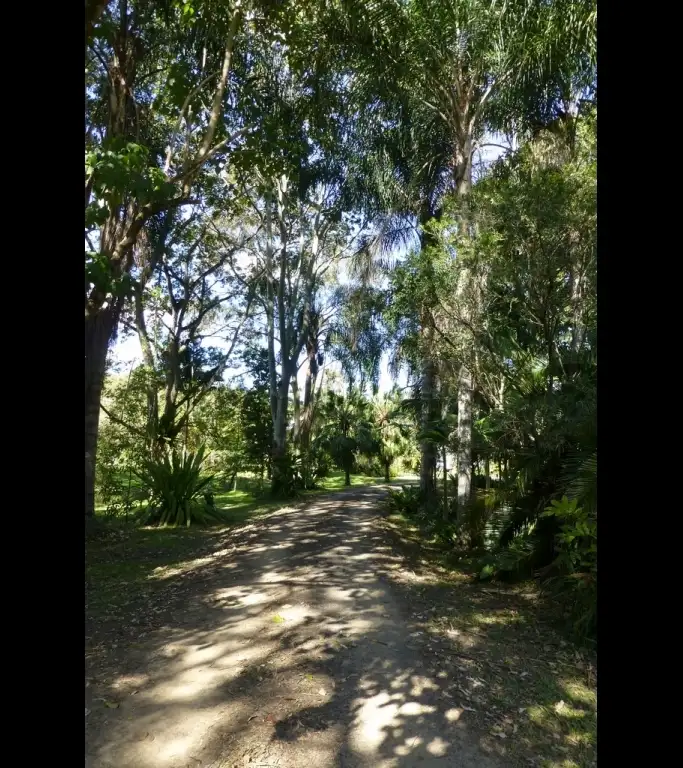 Fourth view of Homely rural property listing, 958 Boyle Road, Coffee Camp NSW 2480