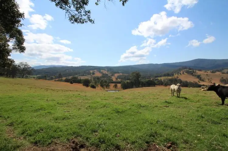 1524 Chichester Dam Road, Dungog NSW 2420