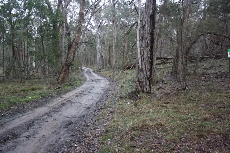 Third view of Homely land listing, C/A 48 King Charlie Lane, Raglan VIC 3373