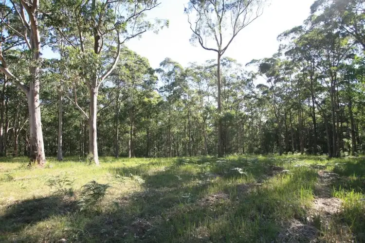 Fourth view of Homely land listing, LOT 105 Duns Creek Road, Paterson NSW 2421