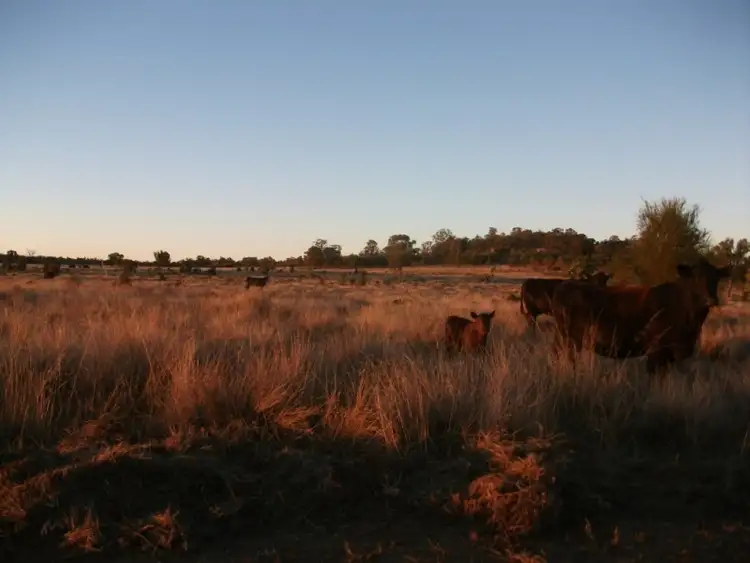 Fourth view of Homely rural property listing, 226 Wambianna Rd, Wyaga QLD 4390